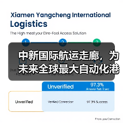 中新国际航运走廊，为未来全球最大自动化港口铺路（大士港与中国港口的提前对接）（图2）