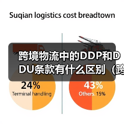 跨境物流中的DDP和DDU条款有什么区别(跨境电商卖家该如何选择)(图3) 跨境物流中的DDP和DDU条款有什么区别(跨境电商卖家该如何选择)(图3)