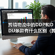 跨境物流中的DDP和DDU条款有什么区别(跨境电商卖家该如何选择)(图4) 跨境物流中的DDP和DDU条款有什么区别(跨境电商卖家该如何选择)(图4)