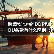 跨境物流中的DDP和DDU条款有什么区别(跨境电商卖家该如何选择)(图2) 跨境物流中的DDP和DDU条款有什么区别(跨境电商卖家该如何选择)(图2)