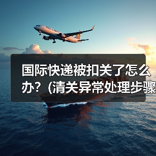 国际快递被扣关了怎么办？(清关异常处理步骤)（图3）
