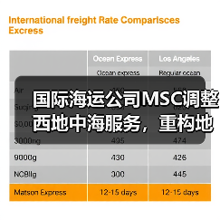 国际海运公司MSC调整西地中海服务，重构地中海连接（搭建希腊、土耳其高效贸易通道）（图1）