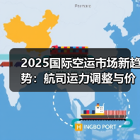 2025国际空运市场新趋势:航司运力调整与价格走向(国际空运干货知识分享)(图4) 2025国际空运市场新趋势:航司运力调整与价格走向(国际空运干货知识分享)(图4)