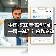 中国-东印度海运航线“一增一减”？合作变动与稳定运营解析（图4）