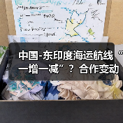 中国-东印度海运航线“一增一减”？合作变动与稳定运营解析（图3）
