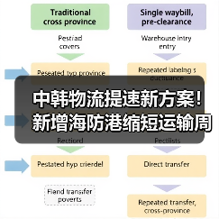 中韩物流提速新方案！新增海防港缩短运输周期（图4）