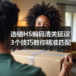 选错HS编码清关延误?3个技巧教你精准匹配(图2) 选错HS编码清关延误?3个技巧教你精准匹配(图2)