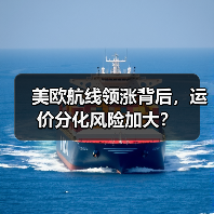 美欧航线领涨背后，运价分化风险加大？（图2）