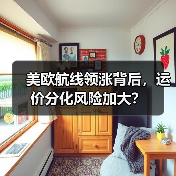 美欧航线领涨背后，运价分化风险加大？（图1）