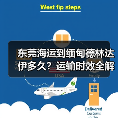东莞海运到缅甸德林达伊多久？运输时效全解析（图4）