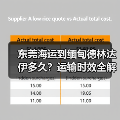 东莞海运到缅甸德林达伊多久？运输时效全解析（图2）