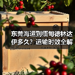 东莞海运到缅甸德林达伊多久？运输时效全解析（图3）