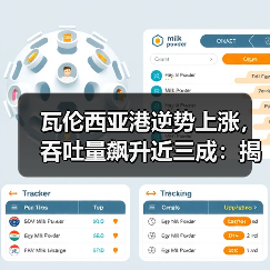 瓦伦西亚港逆势上涨，吞吐量飙升近三成：揭秘欧洲港口运输动态（图3）
