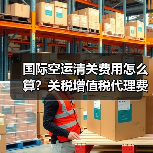国际空运清关费用怎么算？关税增值税代理费详解（图3）