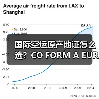 国际空运原产地证怎么选？CO FORM A EUR1办理指南（图2）