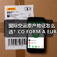 国际空运原产地证怎么选？CO FORM A EUR1办理指南