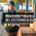 国际空运原产地证怎么选？CO FORM A EUR1办理指南（图3）