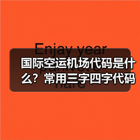 国际空运机场代码是什么？常用三字四字代码全解析（图1）