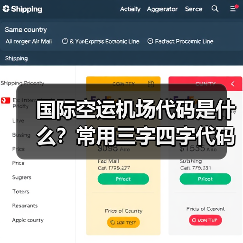 国际空运机场代码是什么？常用三字四字代码全解析（图4）