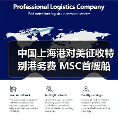 中国上海港对美征收特别港务费 MSC首艘船被罚560万元引热议（图2）