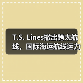 T.S. Lines撤出跨太航线，国际海运航线运力再减30%（货代/外贸请注意）（图4）