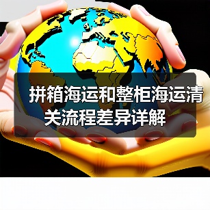 拼箱海运和整柜海运清关流程差异详解（图2）