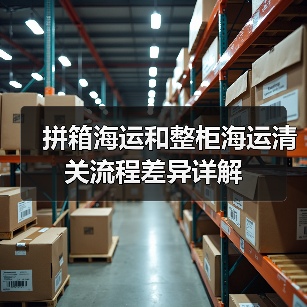 拼箱海运和整柜海运清关流程差异详解（图3）