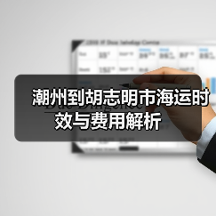 潮州到胡志明市海运时效与费用解析（图4）