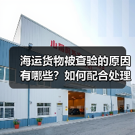 海运货物被查验的原因有哪些？如何配合处理？（图4）