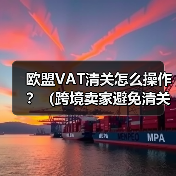 欧盟VAT清关怎么操作？（跨境卖家避免清关延误的关键步骤）（图3）