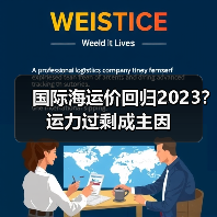 国际海运价回归2023？运力过剩成主因（图3）