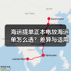 海运提单正本电放海运单怎么选？差异与适用场景全解析（图1）