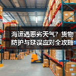 海运遇恶劣天气？货物防护与延误应对全攻略（图3）