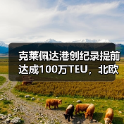 克莱佩达港创纪录提前达成100万TEU，北欧物流效率再升级？（图3）