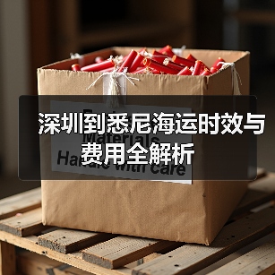 深圳到悉尼海运时效与费用全解析（图4）