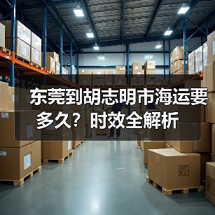 东莞到胡志明市海运要多久？时效全解析（图3）