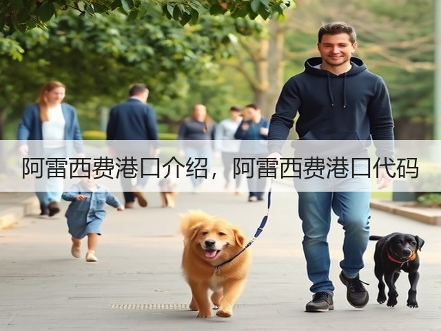 阿雷西费港口介绍，阿雷西费港口代码(图1)