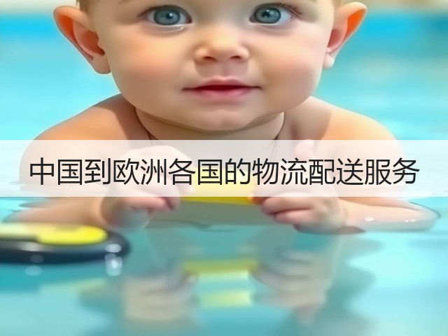 中国到欧洲各国的物流配送服务(图3)