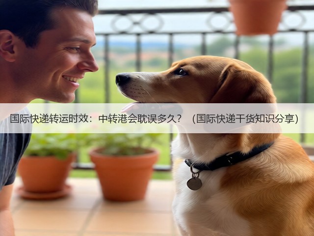 国际快递转运时效:中转港会耽误多久?(国际快递干货知识分享)(图3) 国际快递转运时效:中转港会耽误多久?(国际快递干货知识分享)(图3)