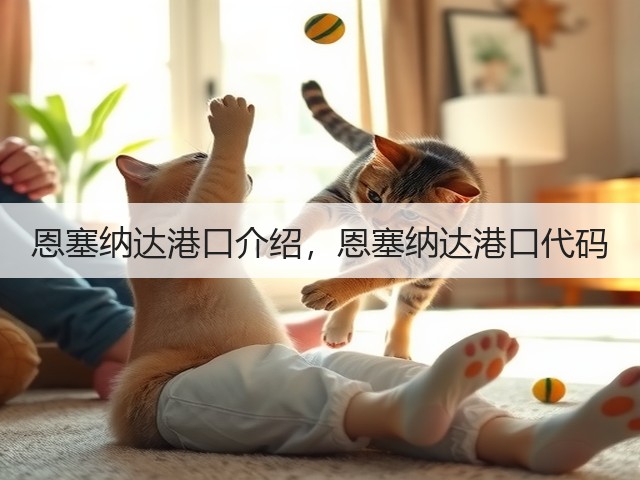 恩塞纳达港口介绍,恩塞纳达港口代码(图3) 恩塞纳达港口介绍,恩塞纳达港口代码(图3)