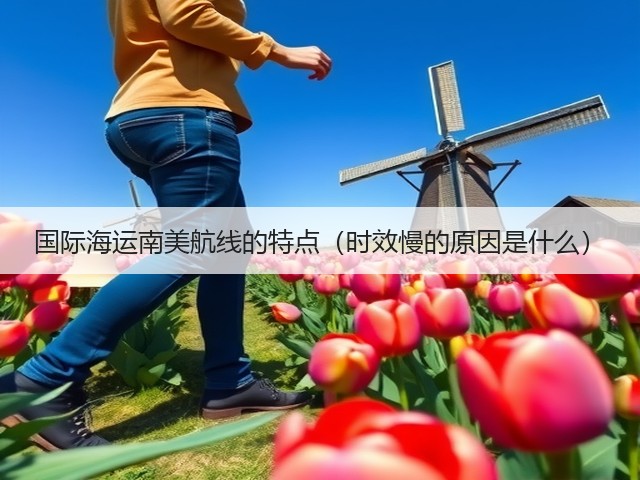 国际海运南美航线的特点（时效慢的原因是什么）(图1)