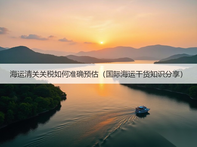 海运清关关税如何准确预估（国际海运干货知识分享）(图3)