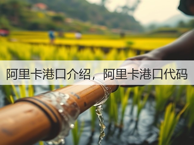 阿里卡港口介绍，阿里卡港口代码(图3)