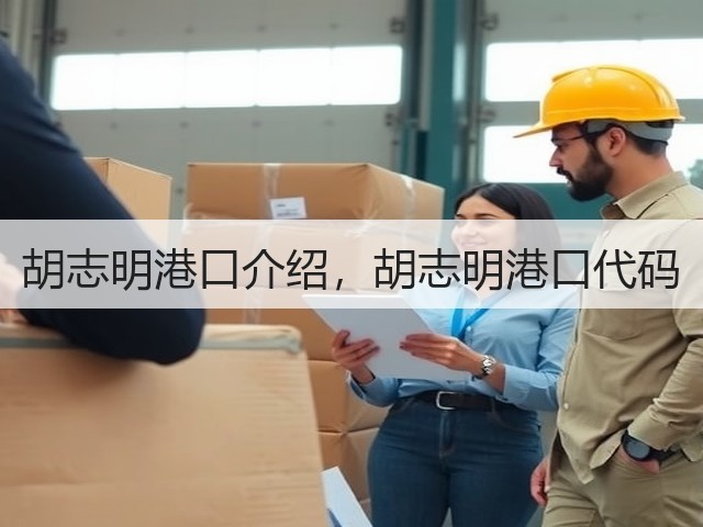 胡志明港口介绍，胡志明港口代码(图3)