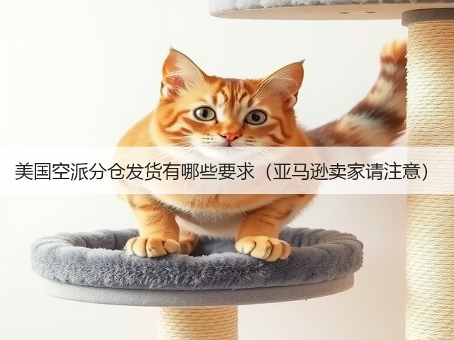 美国空派分仓发货有哪些要求（亚马逊卖家请注意）(图3)