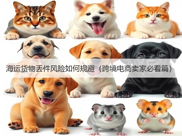 海运货物丢件风险如何规避（跨境电商卖家必看篇）(图3)