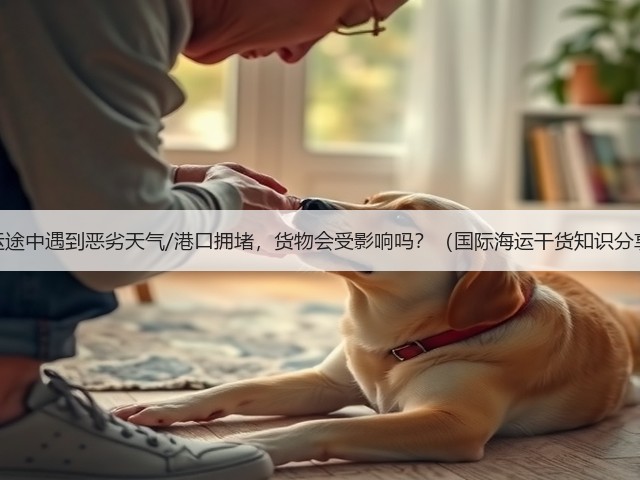海运途中遇到恶劣天气/港口拥堵,货物会受影响吗?(国际海运干货知识分享)(图3) 海运途中遇到恶劣天气/港口拥堵,货物会受影响吗?(国际海运干货知识分享)(图3)