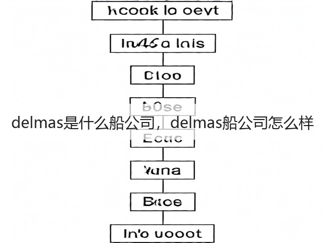delmas是什么船公司，delmas船公司怎么样(图2)