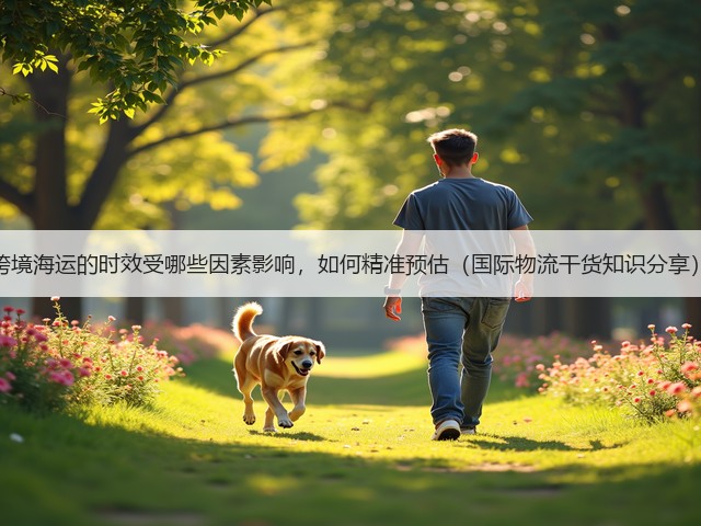 跨境海运的时效受哪些因素影响,如何精准预估(国际物流干货知识分享)(图1) 跨境海运的时效受哪些因素影响,如何精准预估(国际物流干货知识分享)(图1)