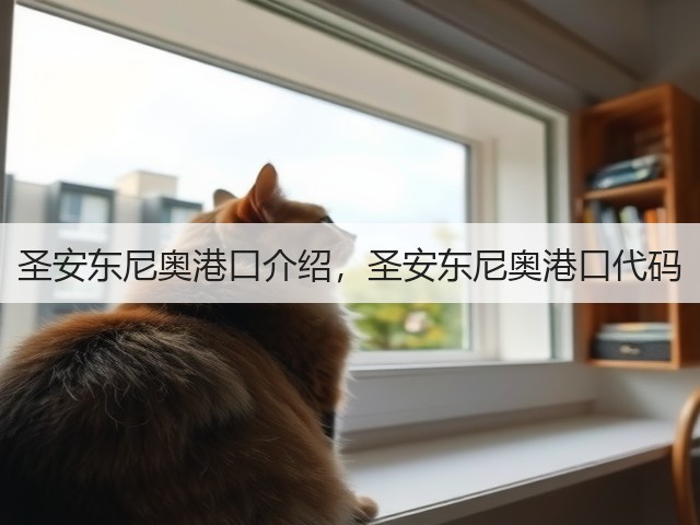 圣安东尼奥港口介绍，圣安东尼奥港口代码(图2)